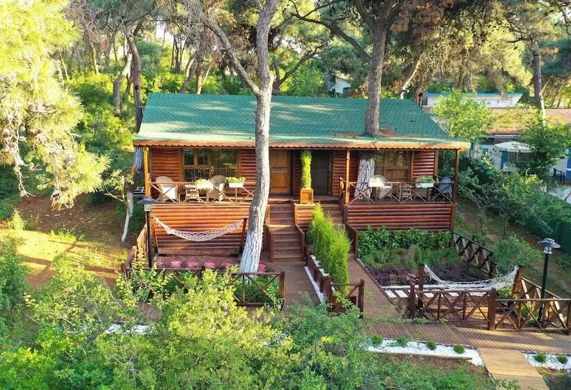 ホテル Glamping Büyükada