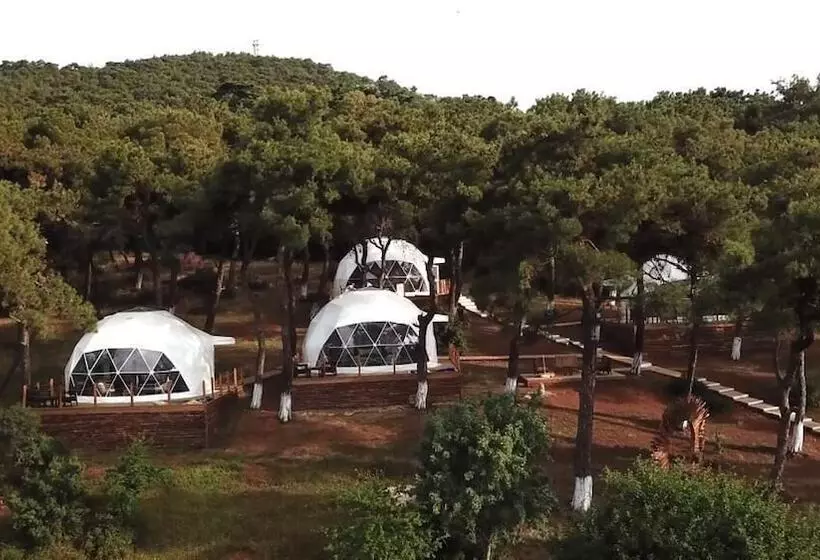 ホテル Glamping Büyükada
