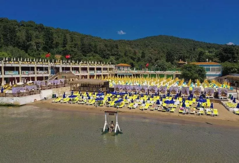 ホテル Glamping Büyükada