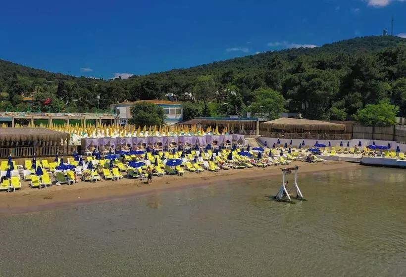 ホテル Glamping Büyükada