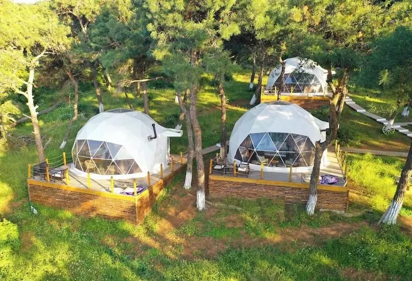 ホテル Glamping Büyükada