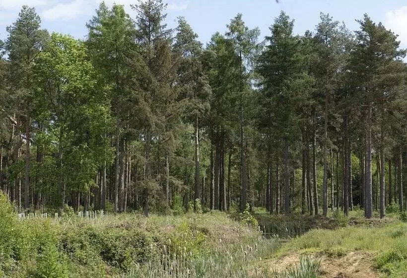 Hotelli Hollicarrs   Kingfisher Lodge