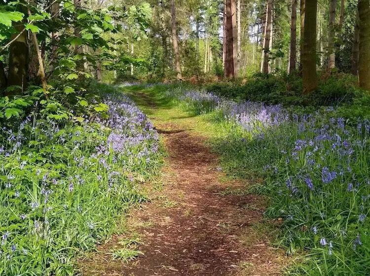 Hotelli Hollicarrs   Kingfisher Lodge