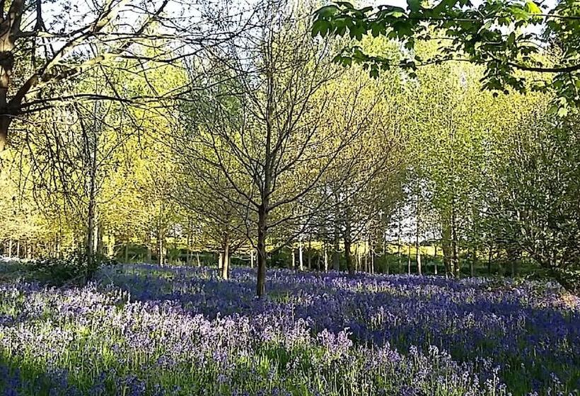 酒店 Hollicarrs Kingfisher Lodge