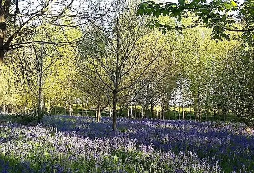 Hotelli Hollicarrs   Kingfisher Lodge