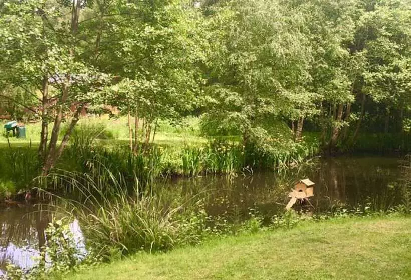 Hotelli Hollicarrs   Kingfisher Lodge