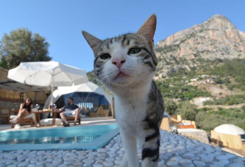 Отель Kabak Freedom Deluxe