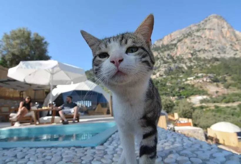 Hotelli Kabak Freedom Deluxe