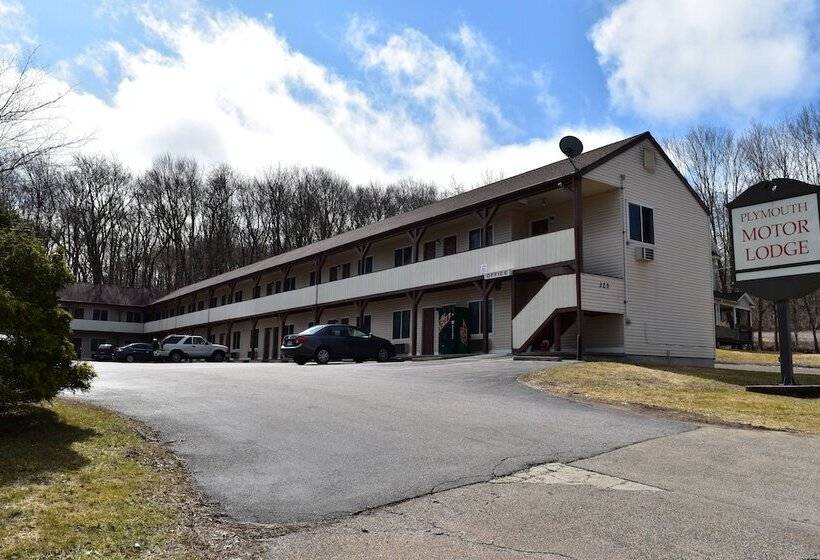 Отель Plymouth Motor Lodge