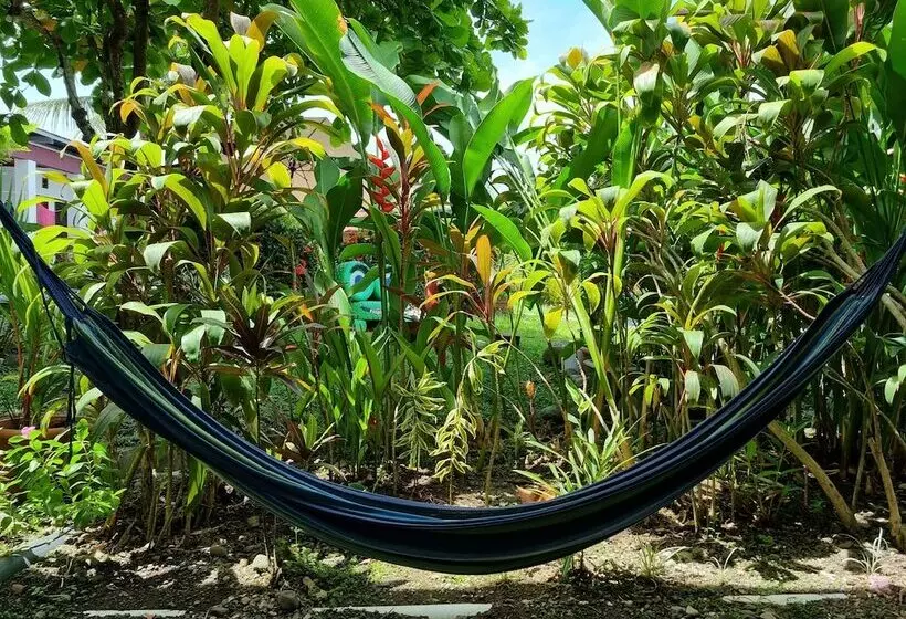 Hotelli Wide Mouth Frog