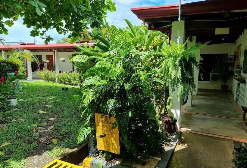 בית מלון כפרי Wide Mouth Frog