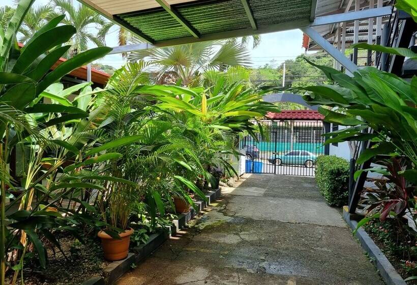 בית מלון כפרי Wide Mouth Frog