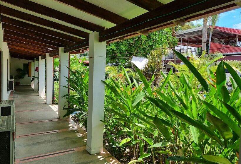 בית מלון כפרי Wide Mouth Frog