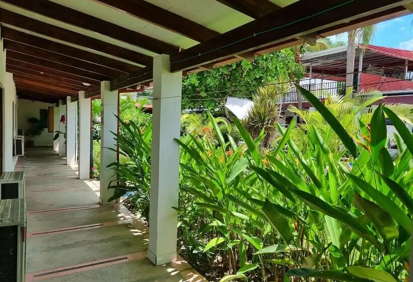 Hotelli Wide Mouth Frog