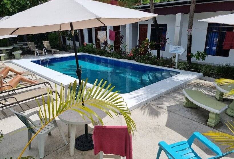 בית מלון כפרי Wide Mouth Frog