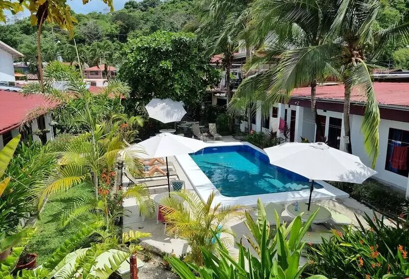 Hotelli Wide Mouth Frog