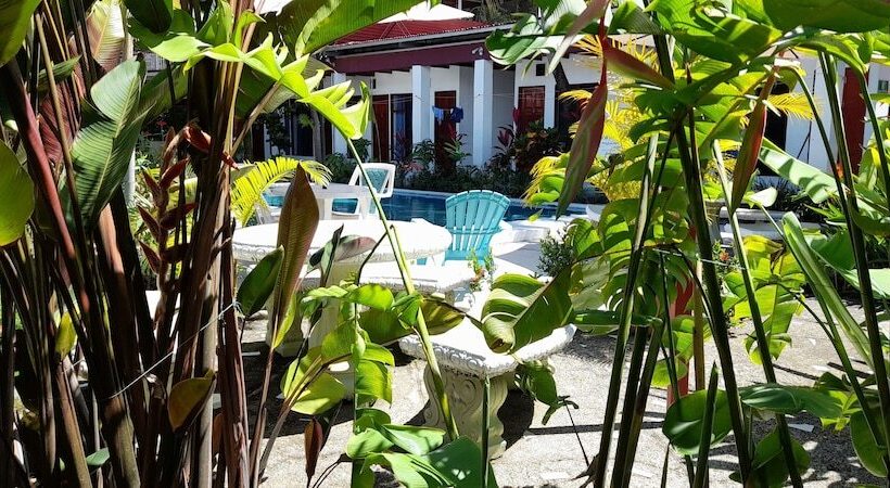 בית מלון כפרי Wide Mouth Frog