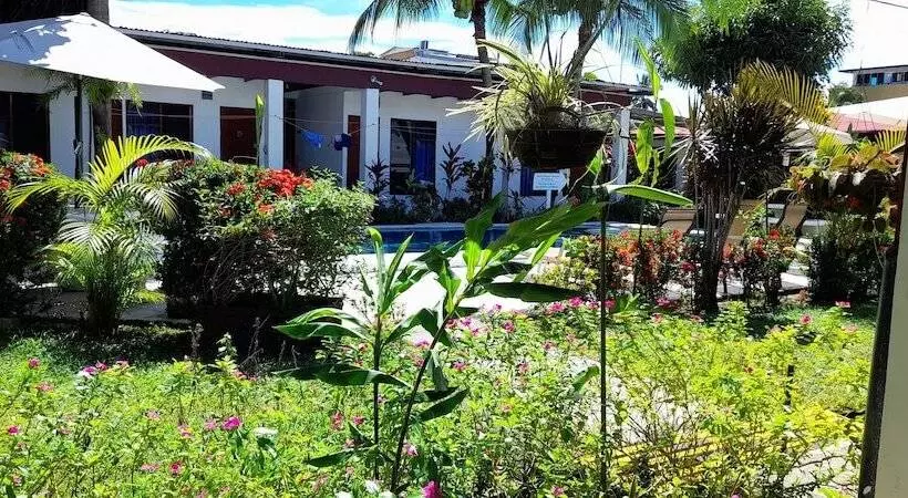 Hotelli Wide Mouth Frog