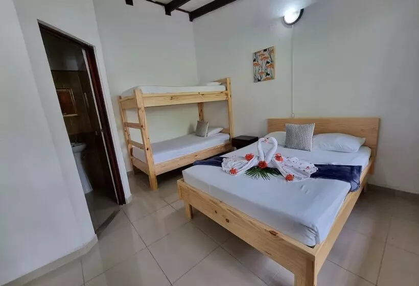 Hotelli Wide Mouth Frog