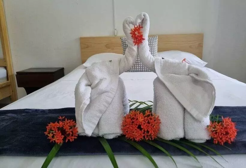 Hotelli Wide Mouth Frog