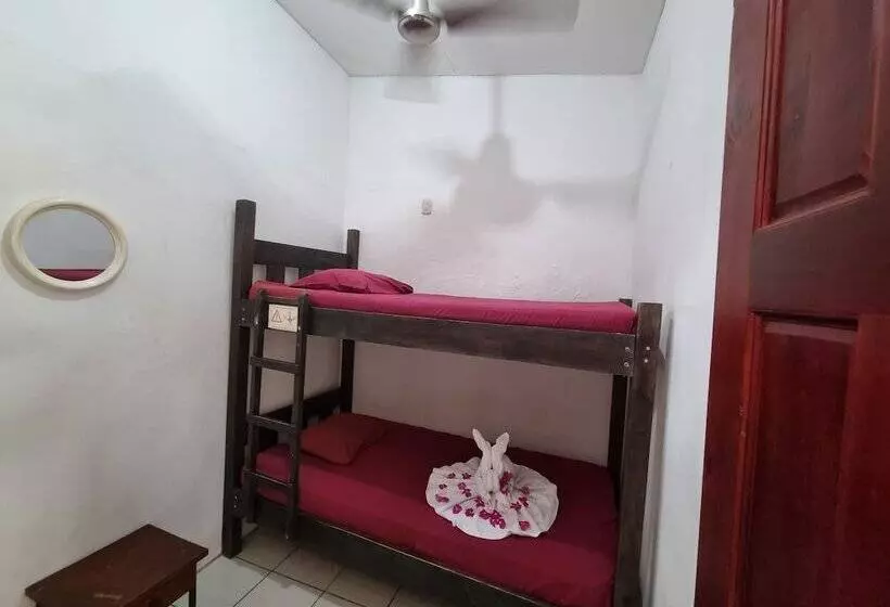 Hotelli Wide Mouth Frog