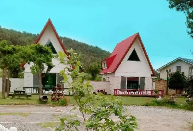 ホテル Yangyang Star Over The Sea Pension