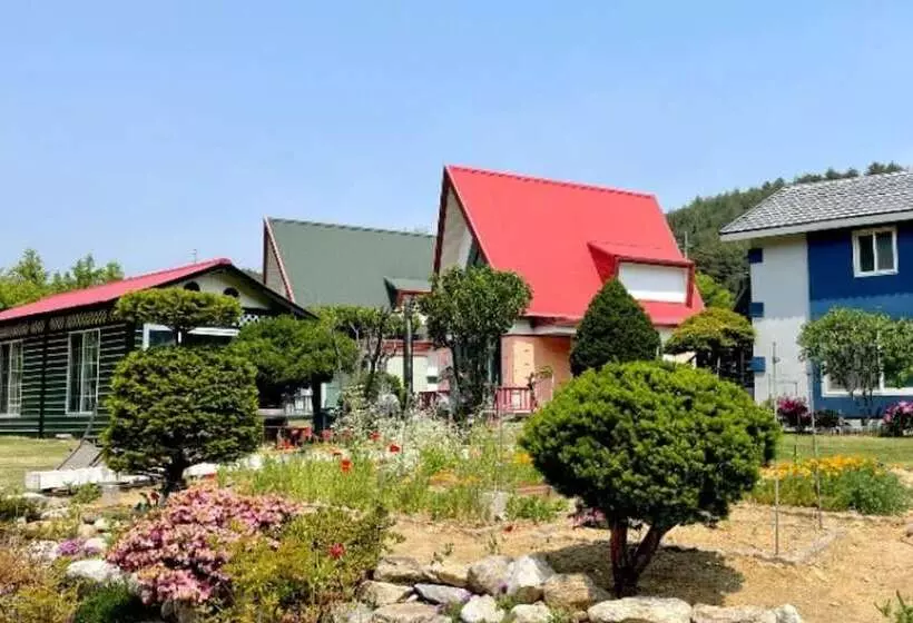 ホテル Yangyang Star Over The Sea Pension