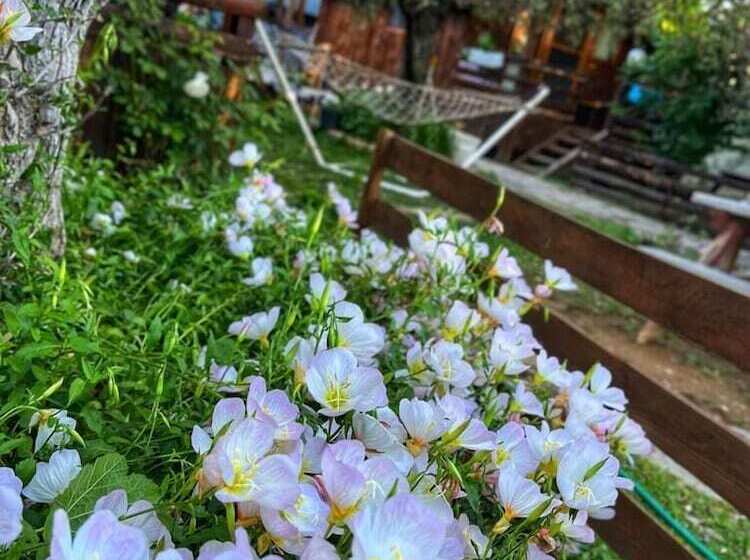 هتل Zeytindagi Bungalow