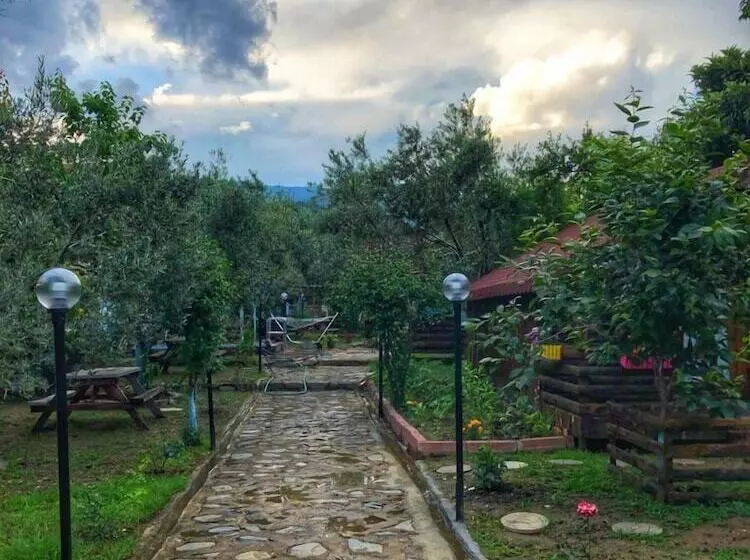 Hotelli Zeytindagi Bungalow