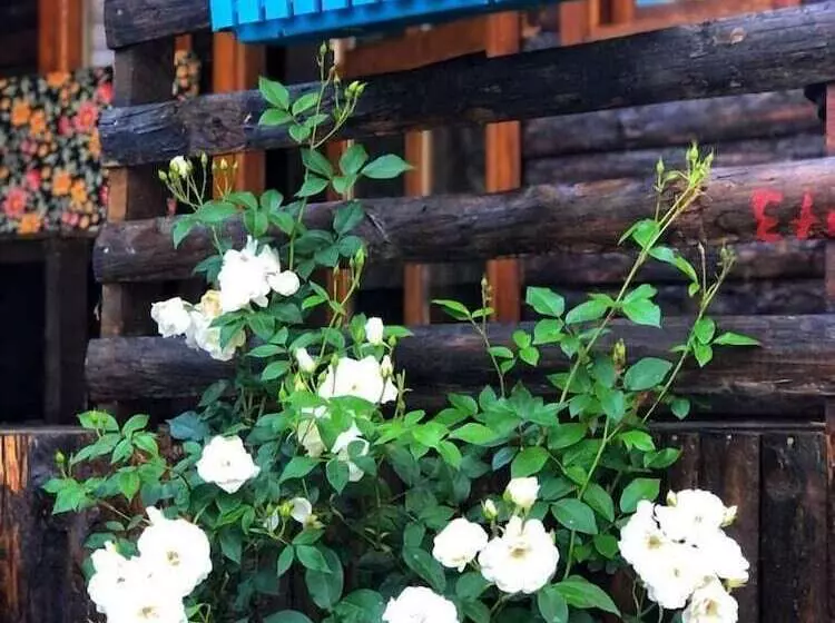 Hotelli Zeytindagi Bungalow