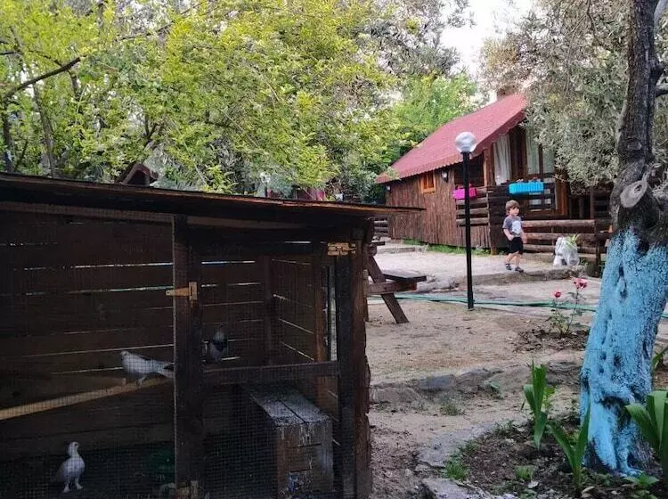 Hotelli Zeytindagi Bungalow