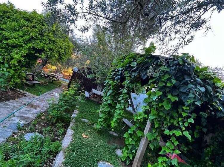 هتل Zeytindagi Bungalow