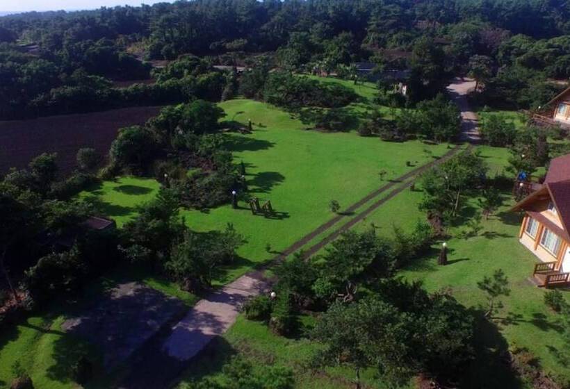 Jeju Bille Tongnamuhyuyang Pension