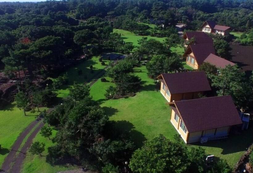 Jeju Bille Tongnamuhyuyang Pension