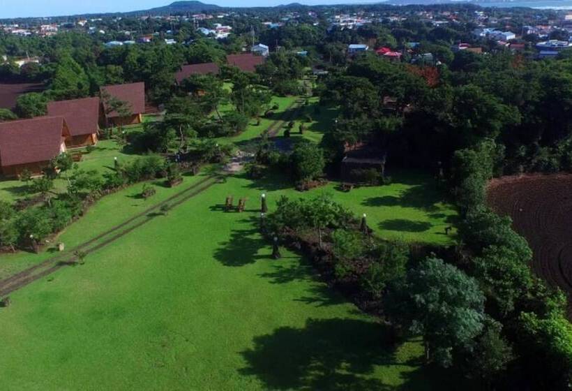 Jeju Bille Tongnamuhyuyang Pension
