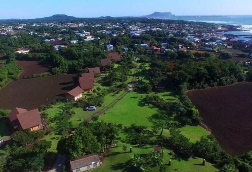 Jeju Bille Tongnamuhyuyang Pension