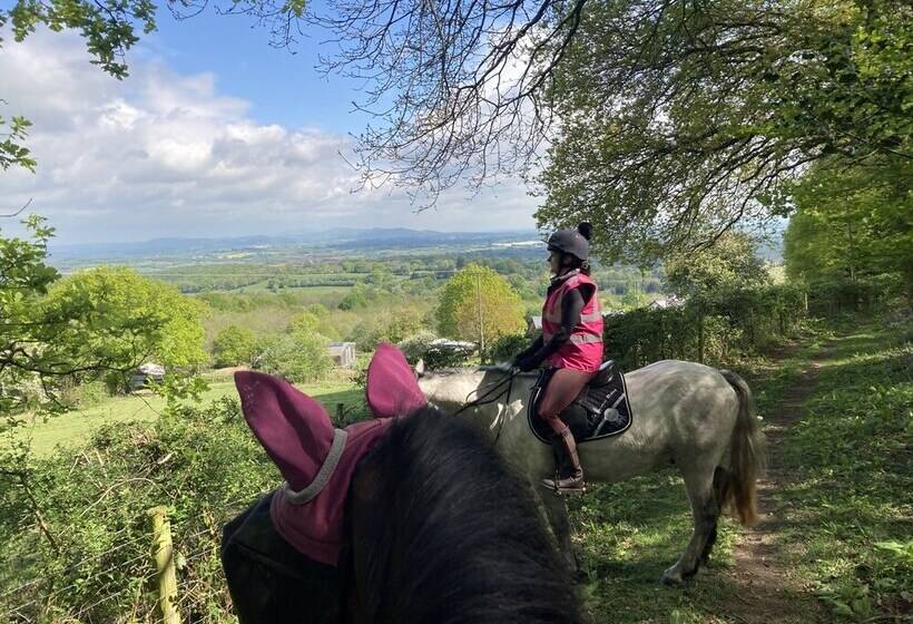 Outstandingly Situated Cosy Shepherds Hut