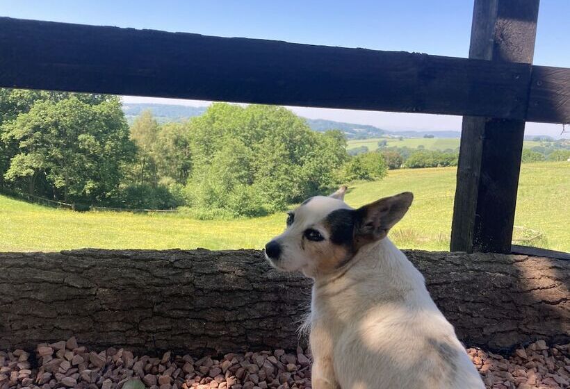 Outstandingly Situated Cosy Shepherds Hut