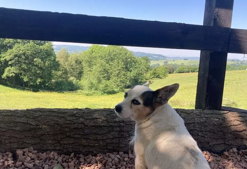 Outstandingly Situated Cosy Shepherds Hut