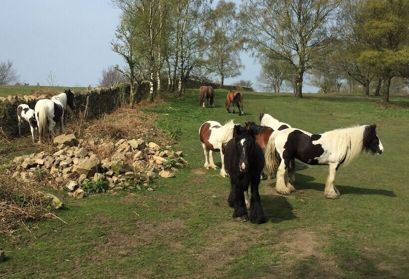 Outstandingly Situated Cosy Shepherds Hut