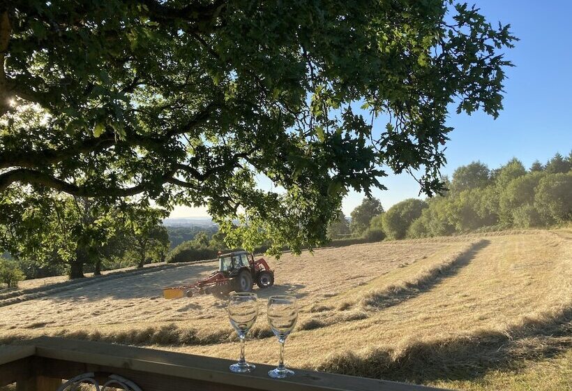 Outstandingly Situated Cosy Shepherds Hut