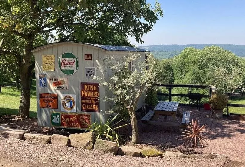 Outstandingly Situated Cosy Shepherds Hut