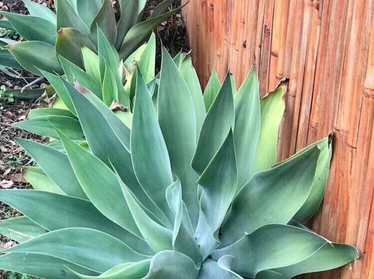بنسيون Quaint Private Room In Pleasant Ashmore