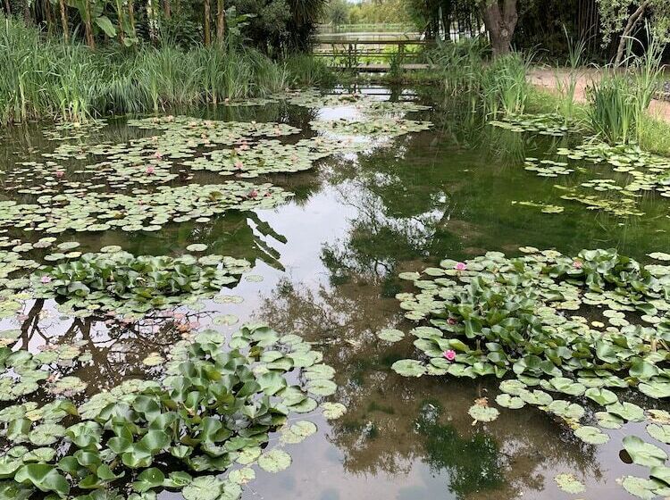 住宿加早餐  Le Clos De La Court D Aron