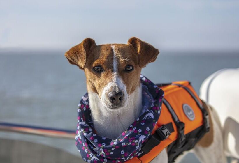 مبيت وإفطار The Ferry Boat Inn