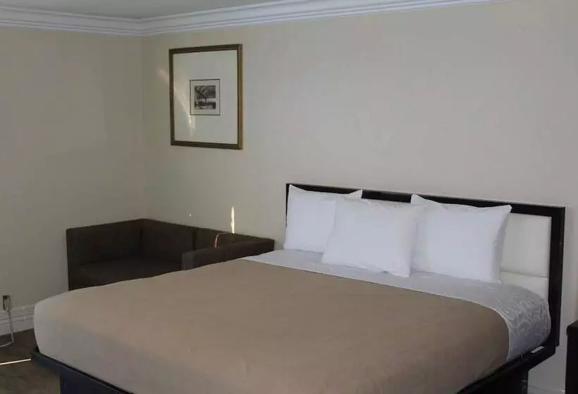 Grand Motel Inn And Suites Of Reform  Al