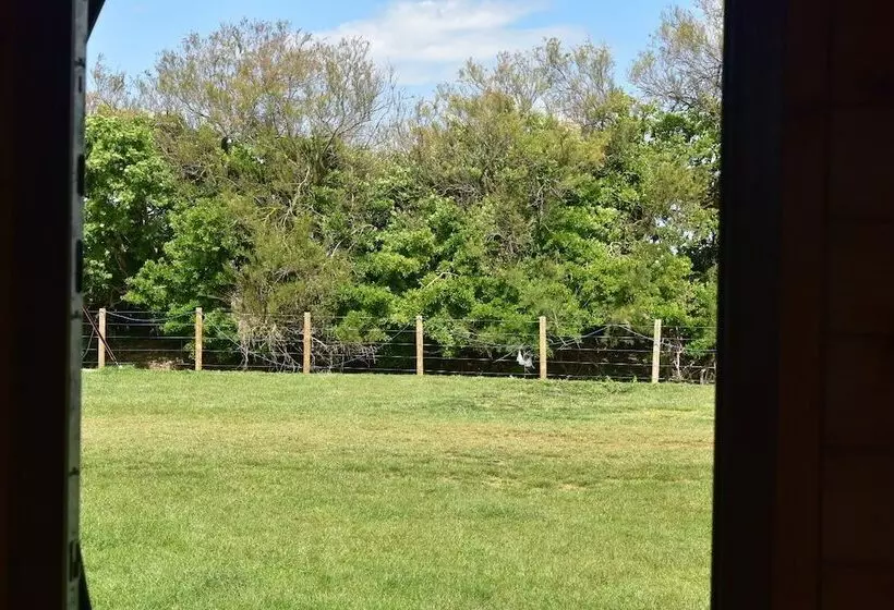 ホテル Beachcomber Glamping