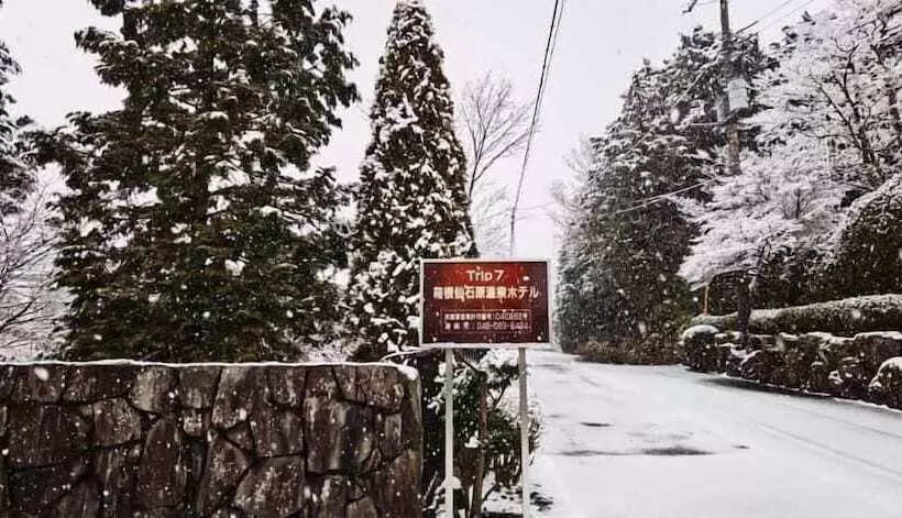هتل Trip7 Hakone Sengokuhara Onsen