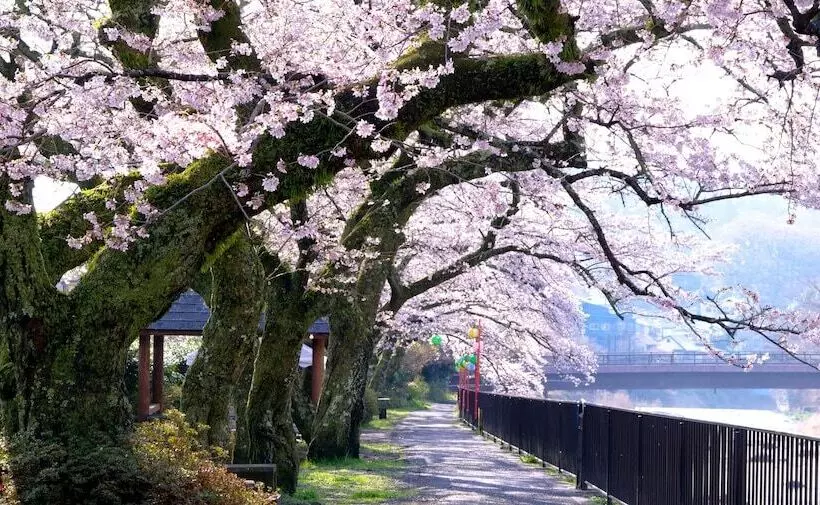 هتل Trip7 Hakone Sengokuhara Onsen