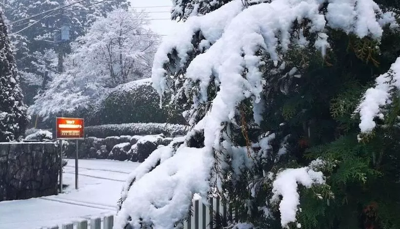 هتل Trip7 Hakone Sengokuhara Onsen